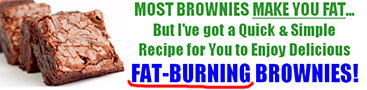 fat burning brownies