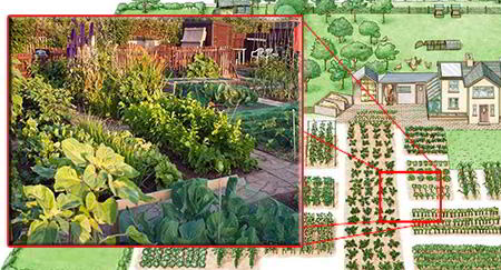 garden photo reduced