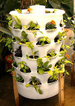 gardening towers