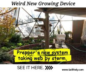 Weird-New-Growing-Device-300x250