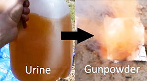 urine gunpowder