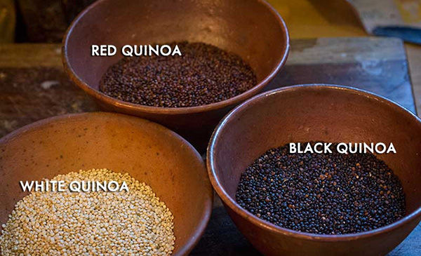 quinoa for preppers