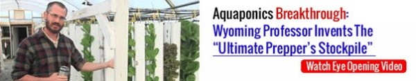 aquaponicsB