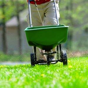 Lawn_fertilizer