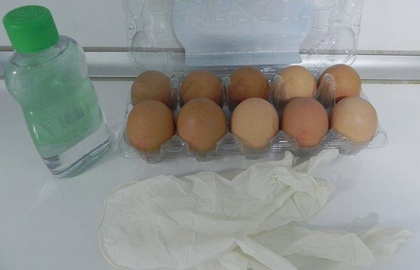 Preserving eggs1
