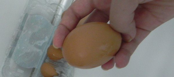 Egg4