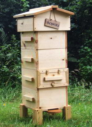 Vacancies How To Start A Beehive