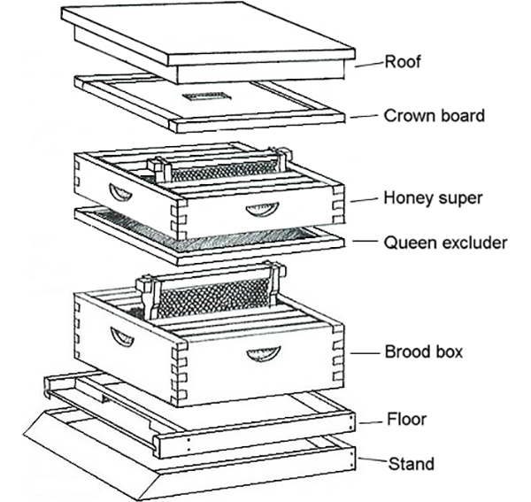 Beehive Anatomy