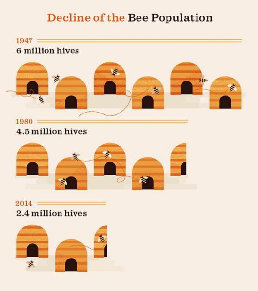 bee population