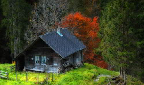 cabin in tennessee