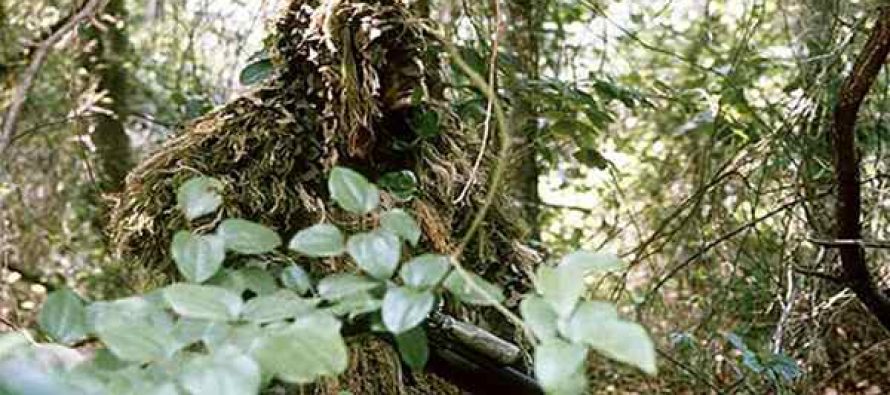 Camouflage and Concealment: The Art of Staying Hidden