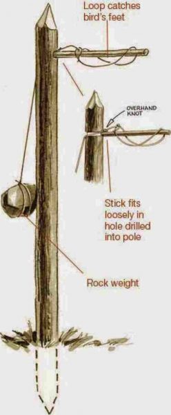 Ojibwa Bird Pole