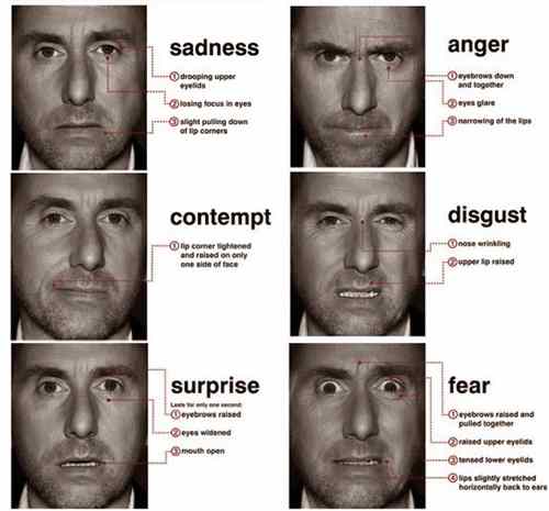 lie detection infographic microexpressions