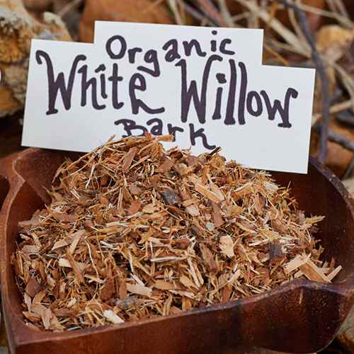 white willow bark