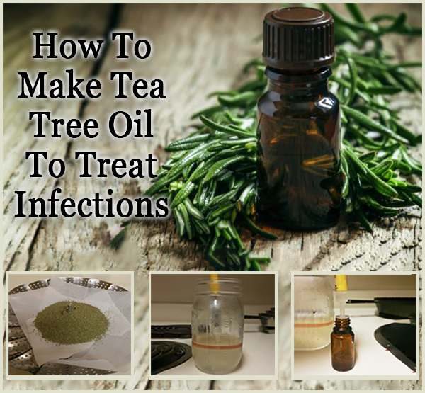 How to make tea tree oil to treat infections