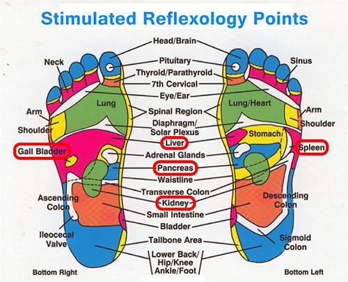 stimulated reflexology points feet