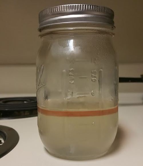 tea tree oil in jar with lid