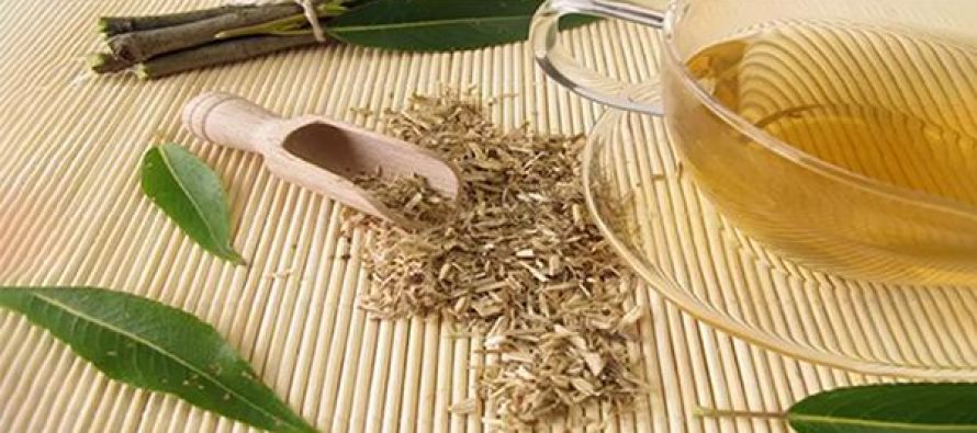 26 Ancient Remedies That We Lost to History