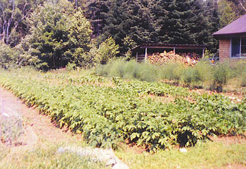 Maine Garden