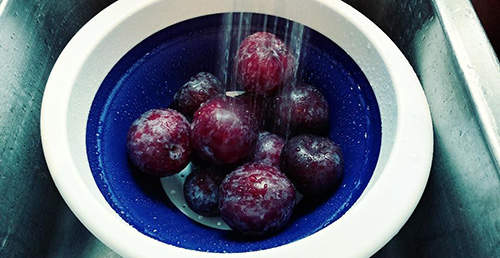How to Dry Plums for Long-Term Storage Just Like Grandma