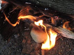 How To Cook In A Cactus Stones in the Fire