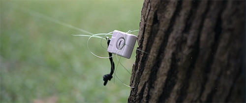 How To Install A Tripwire Alarm On Your Property