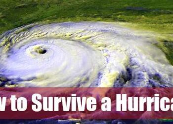 How to Survive a Hurricane