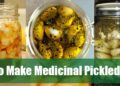 How to make medicinal pickled garlic