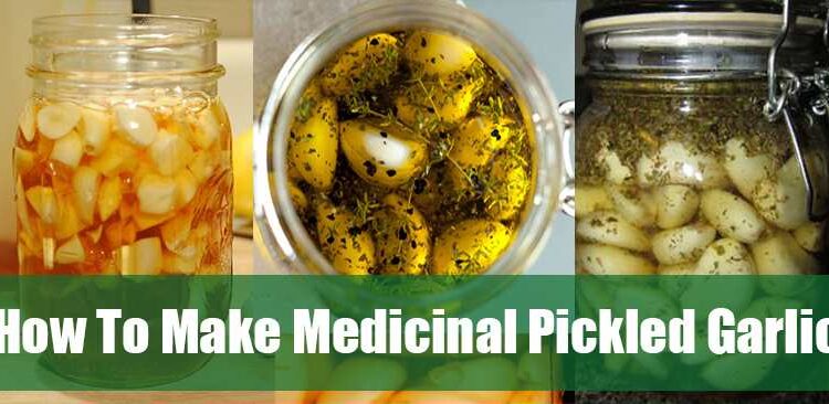 How to make medicinal pickled garlic