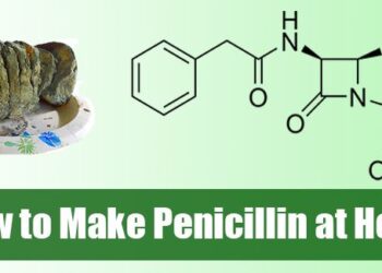 How to make penicillin at home