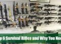 The top 6 survival rifles and why you need one