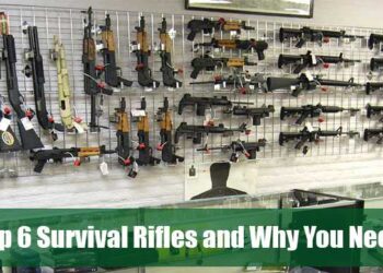 The top 6 survival rifles and why you need one
