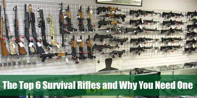 The top 6 survival rifles and why you need one