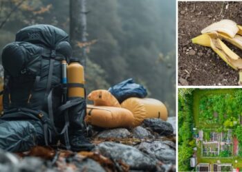 Missing Calories In A Bug Out Location