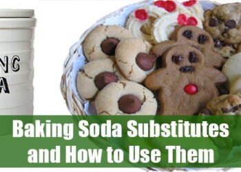 Baking Soda Substitutes