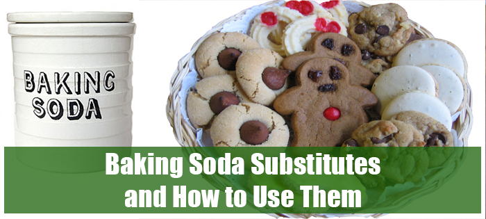 Baking Soda Substitutes