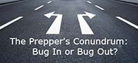 Emergency preparedness bug out or stay