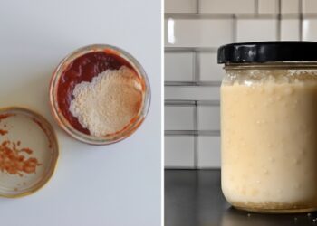 How to Tell When Your Canned Foods Become Spoiled?