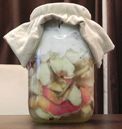 homemade vinegar mother