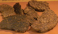 Breads out of orache and bran, fried on machine oil, as found at the siege of Leningrad