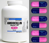 Amoxicillin