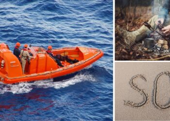 amazing news survival