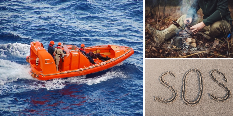 amazing news survival