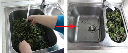 cooking nettles 2