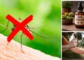 mosquito repellant home made
