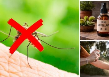 mosquito repellant home made