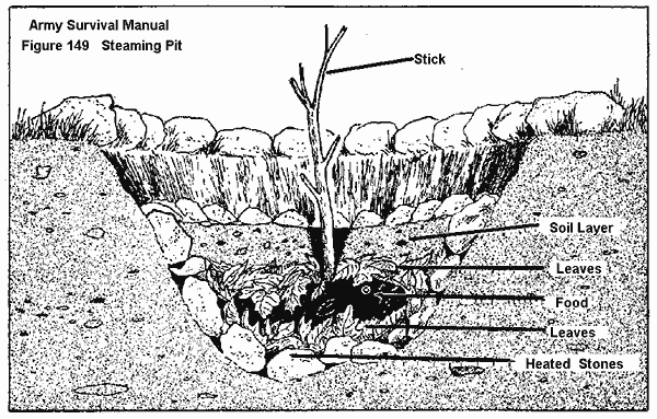 Steam Pit Cooking primitive