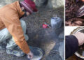 How to Clean Cooking Gear with Wood Ash