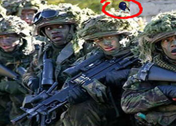 Situational Awarenes Surviving Two-Legged Predators