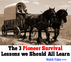 3 pioneer lessons banner png